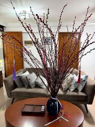 Commonwealth Drive (Queenstown), HDB Executive #527145421